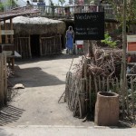 samburu dorpje publieksproject Rotterdam Zoo