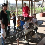 speelobject gier in gierenvoliere Rotterdam Zoo